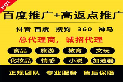品牌信息流广告推广案例解析